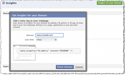 Facebook Insights for Domains form