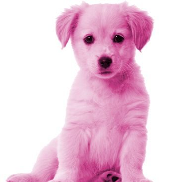 Avoid pink puppies!