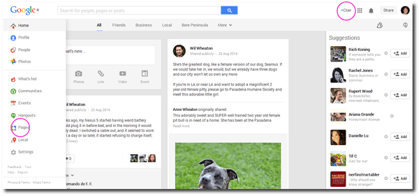 Google+ Pages