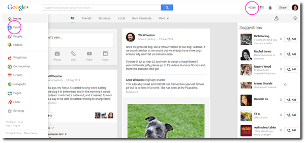 Google+ Profile page