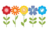 Image of flowers with social icons