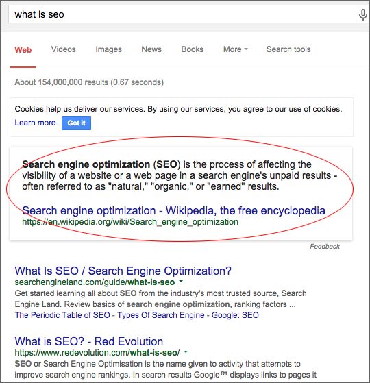 Screenshot of 'What is SEO' Google results page