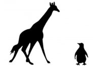 Giraffe and penguin silhouttes