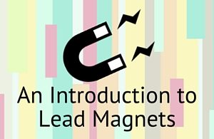 An Introduction to Lead Magnets