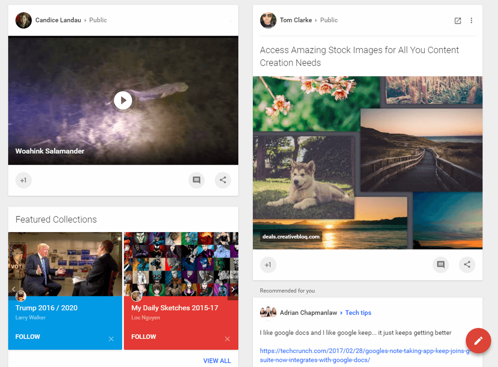 Google+ stream