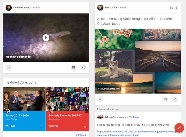 Google+ stream