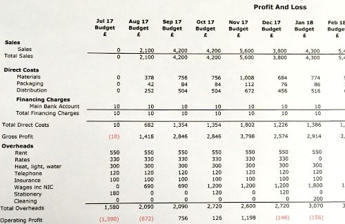 Sample Profit And Loss Forecast