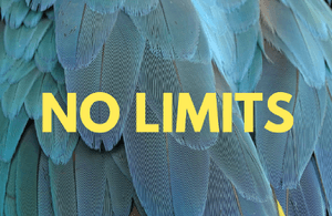 No limits