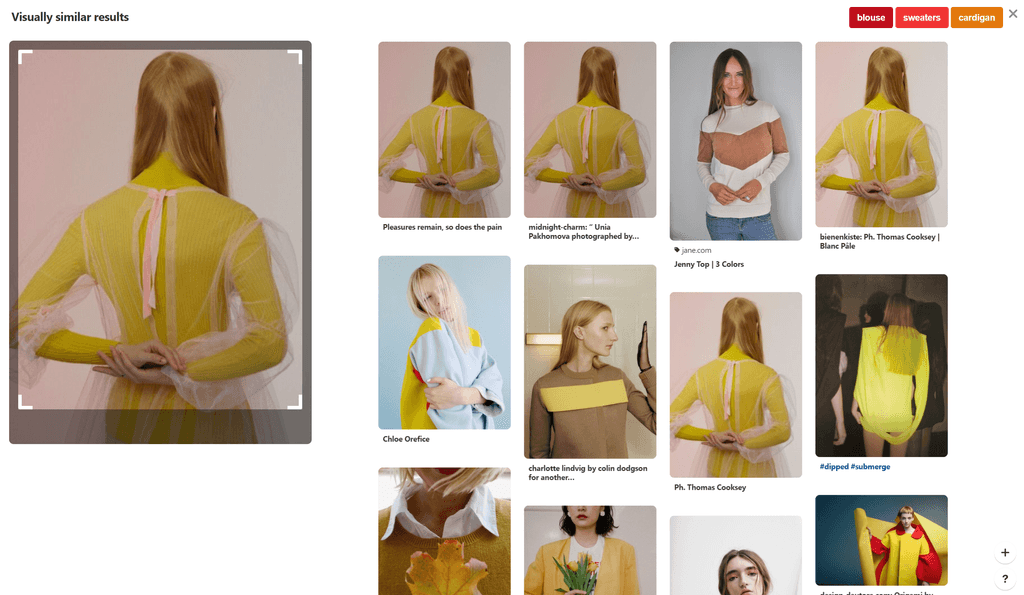 An image search in Pinterest, showing related Pins and suggested tags