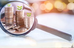 Image of money with plants and magnifying glass