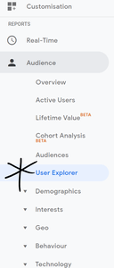 User Explorer in Google Analytics