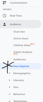 User Explorer in Google Analytics