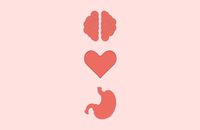 Brain, heart, stomach