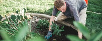 Digital Marketing for Gardeners and Landscapers