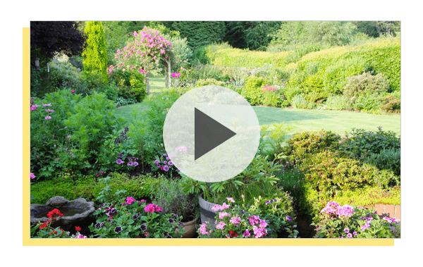 Video marketing for Gardeners and Landscapers