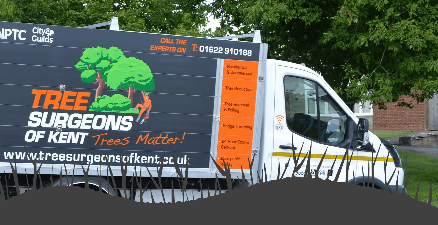 Advertisement, Person, Moving Van