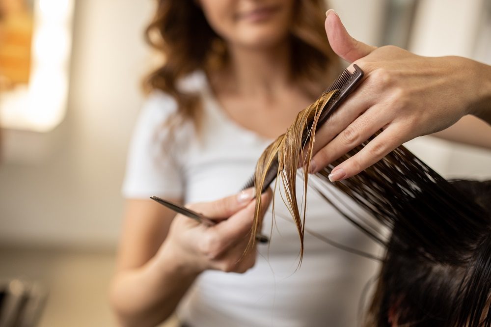 Hairdresser, Person, Haircut